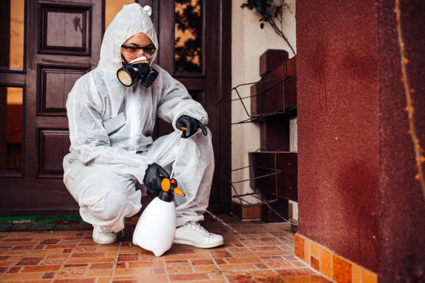 Reliable Ant Control contractor in Hightstown, NJ by Nex Pest Control