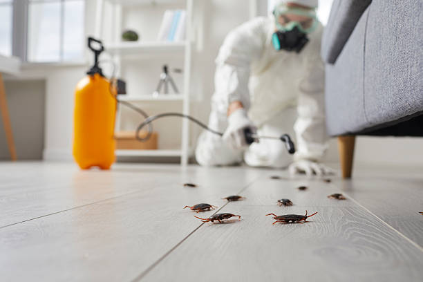 Trusted Termite Control service in Hightstown, NJ - Nex Pest Control